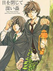 Harry Potter Doujinshi - The World 2