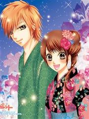 Ojousama wa Oyomesama