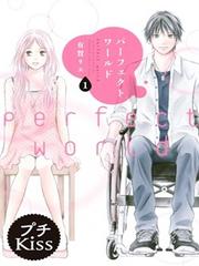 Perfect World (ARUGA Rie)