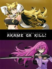 Akame ga Kiru