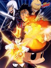 Kateikyoushi Hitman Reborn