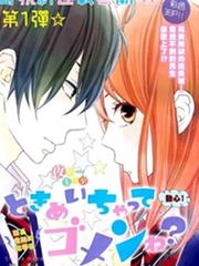 Tokimeichatte Gomen Ne?